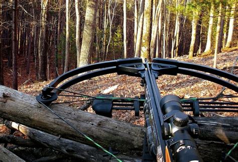 Best Hunting Crossbow: Top Products on The Market Overview