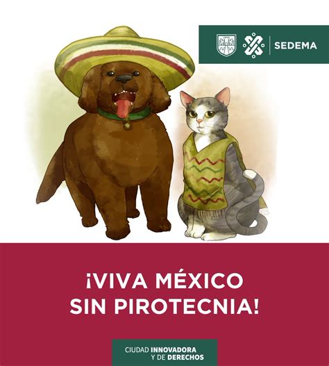 Secretar A De Salud De La Ciudad De M Xico On Twitter Rt Sedema Cdmx