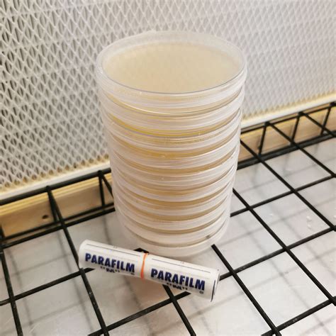 Pre Poured Lme Agar Plates Mushroom Network