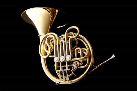 Free french horn Images, Pictures, and Royalty-Free Stock Photos ...