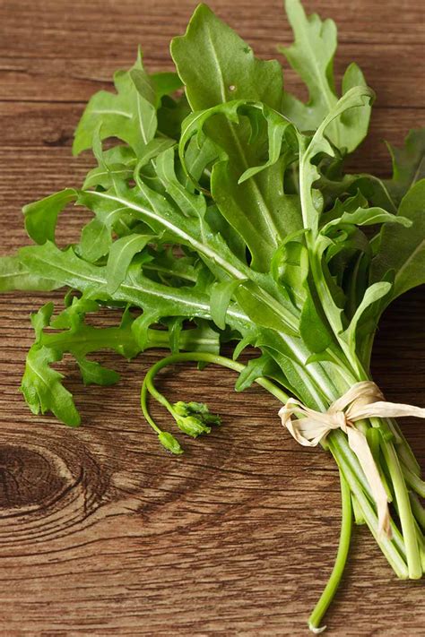 How And When To Harvest Arugula Gardeners Path