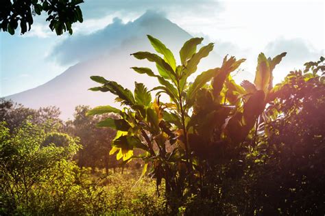 Arenal Volcano National Park - Visitor's Guide