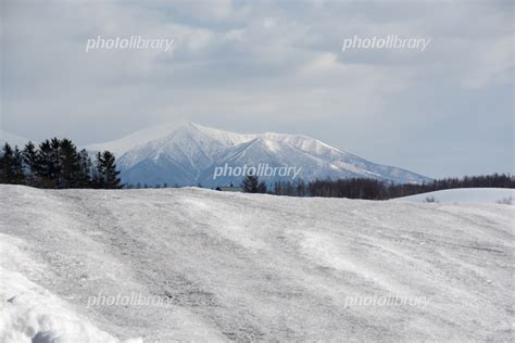 融雪剤が撒かれた雪の畑 写真素材 5831869 フォトライブラリー Photolibrary