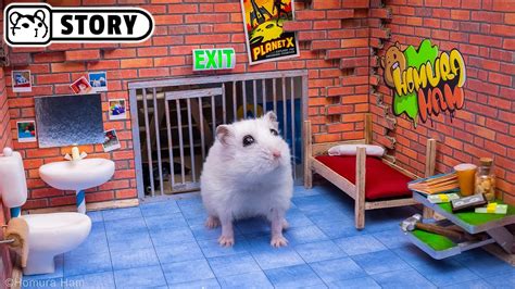 Hamster Escapes The Prison Maze And Robs The Old Bank Ep Homura