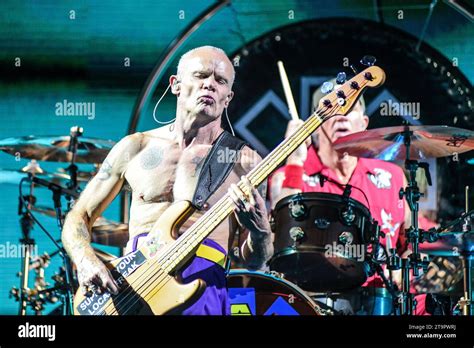 Flea Bass Chad Smith Drums Red Hot Chili Peppers Live In Buenos Aires Argentina Stock