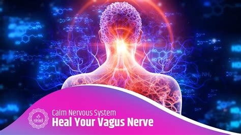 Best Healing Music To Heal Your Vagus Nerve Calm Nervous System