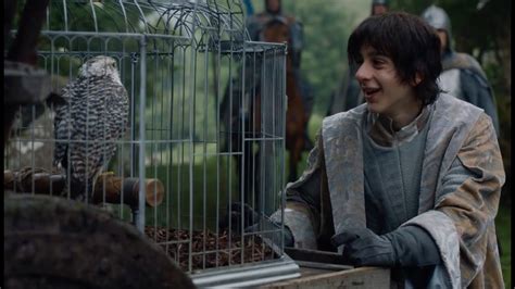 Does That Handsome Falcon On Game Of Thrones Remind You Of Anyone