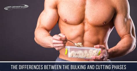 Workout Routine For Bulking And Cutting Eoua Blog