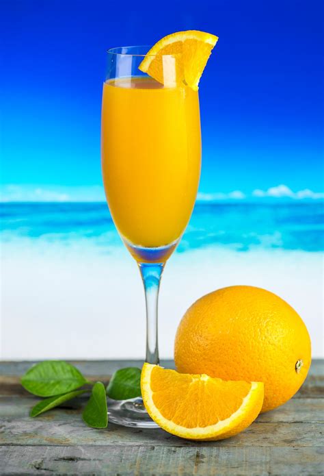 Summer themed tropical beach design | Free stock photo - 423891 