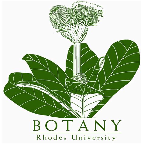 Department of... - Department of Botany, Rhodes University