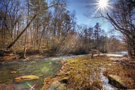 Top Travel 1 Ini Dia 5 Hutan Tercantik Di Dunia Okezone Travel