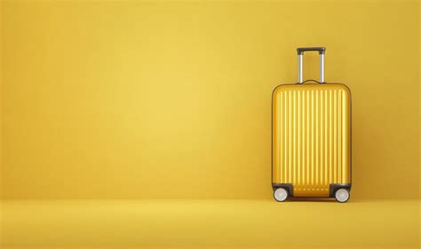 sky travel bags  luggage