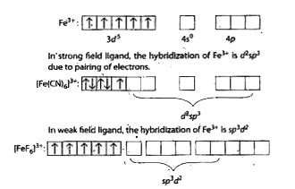 Malayalam Fe Cn Is Diamagnetic Fef Is Paramagnetic