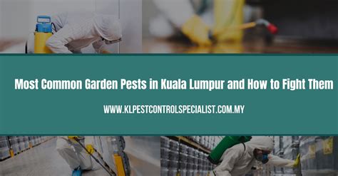 Most Common Garden Pests In Kuala Lumpur And How To Fight Them KL