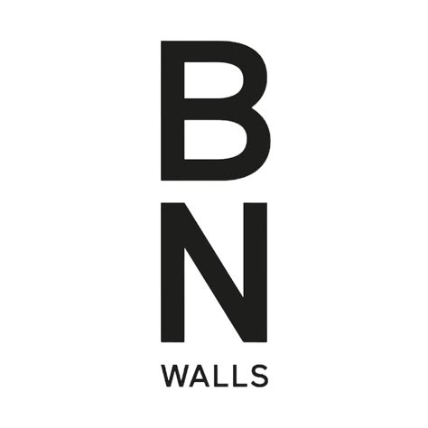 bn international
