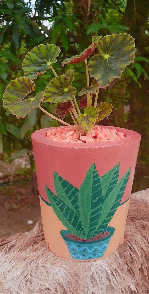 Vaso De Cimento Pintado - Vaso de cimento pintado a mão para a Begônia Rex