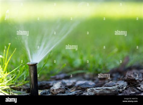 Heim rasen Fotos und Bildmaterial in hoher Auflösung Alamy