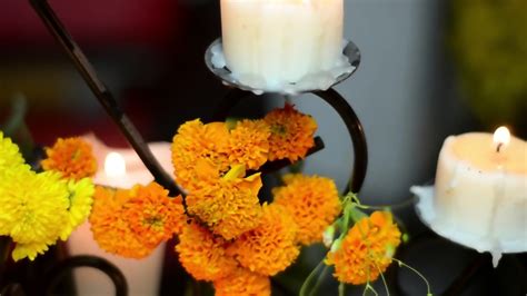 Jon Tapia Y Sus Nenas LA CATRINA 2 0 Sexy Nude Cosplay Lingerie Jon Jon