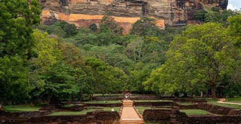 Vanuit Colombo Sigiriya En Dambulla Dagtocht En Wildsafari GetYourGuide