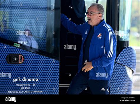 Gnk Dinamo Head Coach Ante Cacic Seen At The Dr Franjo Tudjman