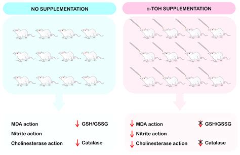 Vitamin E and Its Molecular Effects in Experimental Models of ... 
