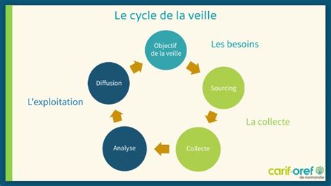 Cycle De La Veille