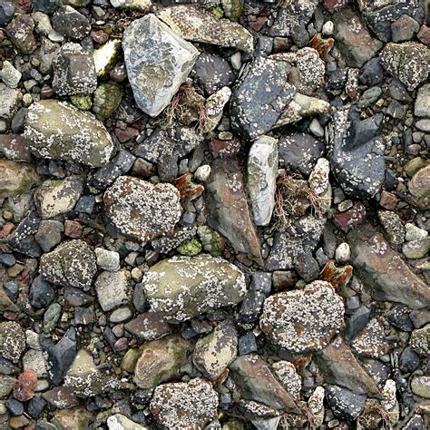 Rocky Seashore Free Stock Photo - Public Domain Pictures