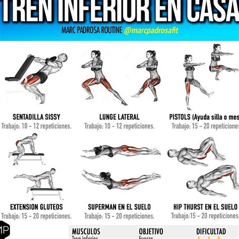 Ejercicios De Fuerza Tren Inferior En Casa Squad Fitness