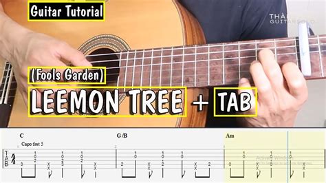 Lemon Tree Fools Garden Fingerstyle Guitar Tutorial Tab Free Hướng Dẫn Solo Thành Toe