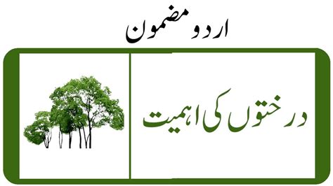 Importance Of Trees Essay In Urdu Youtube