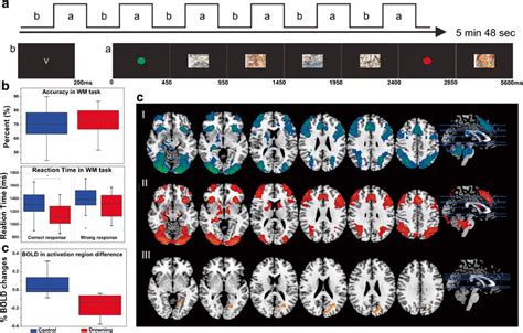 Working Memory FMRI Task Design Behavior In And Imaging Data A