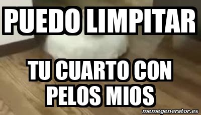 Meme Personalizado Puedo Limpitar Tu Cuarto Con Pelos Mios