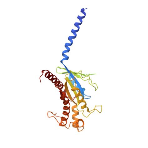 Rcsb Pdb Gg Cryoem Structure Of Beta Adrenergic Receptor In