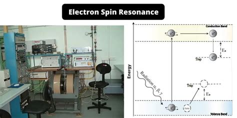 Electron Spin Resonance Esr Principle Instrumentation Applications Biology Notes Online