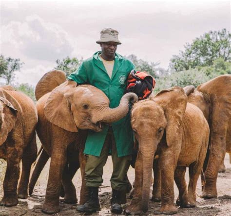 The Sheldrick Wildlife Trust | The Friese Foundation