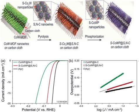 HER activity of the modified electrocatalyst in an alkaline media (0.1 ...