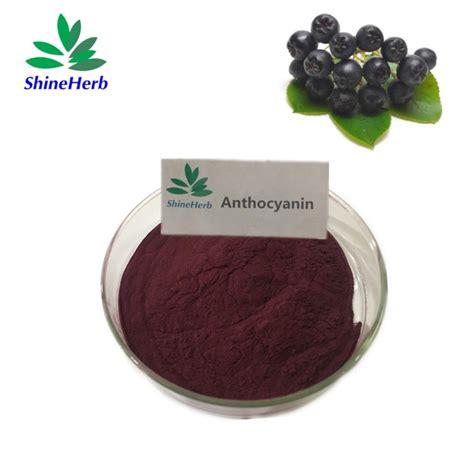 Factory Price Natural Extract Powder Aronia Extract Anthocyanin