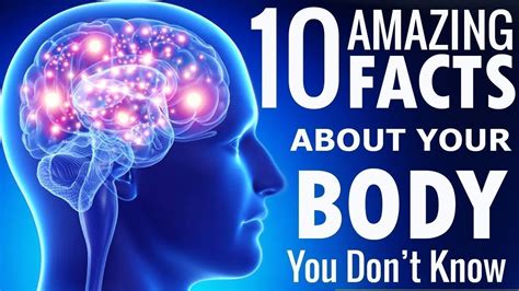 Amazing And Weird Human Body Facts You Don T Know Youtube