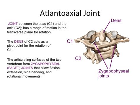 Alar Ligament Treatment for CCJ Instability - Regenexx®