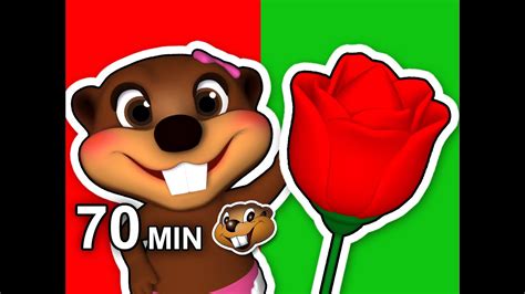 Red Flower Song Plus More Busy Beavers Kids Compilation Teach