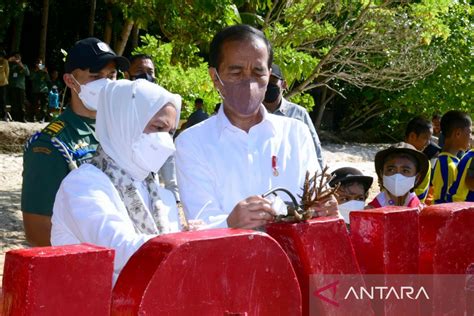 Preserve Wakatobi coral reefs: President - ANTARA News