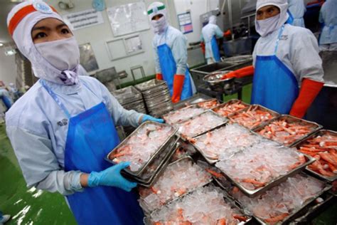 Frozen Shrimp Processing Quick Explanation Frozen Shrimp Suppliers