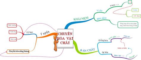 Lý thuyết bài chuyển hóa năng lượng SGK Sinh lớp 8