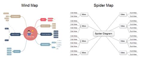 Spider Map Graphic Organizer - Free Templates - Edraw