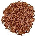 Amazon Giant Mealworms Live For Reptile Birds Chickens