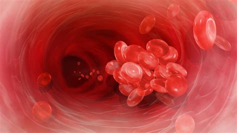 Blood Clots Symptoms Causes Treatment Preventions All Need To Know