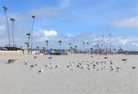 Oceanside Harbor Beach, Oceanside, CA - California Beaches