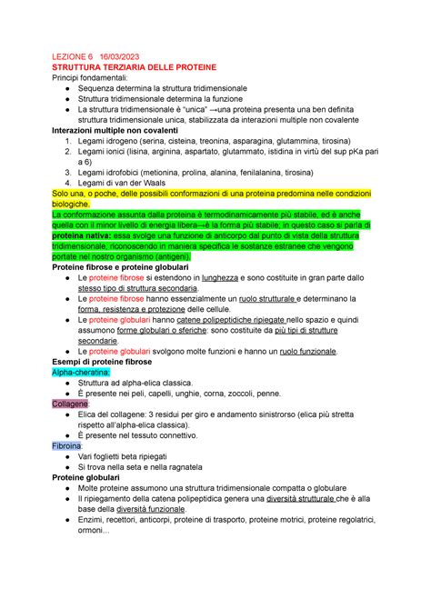 Biochimica Prof Zara Lezione Lezione Struttura Terziaria