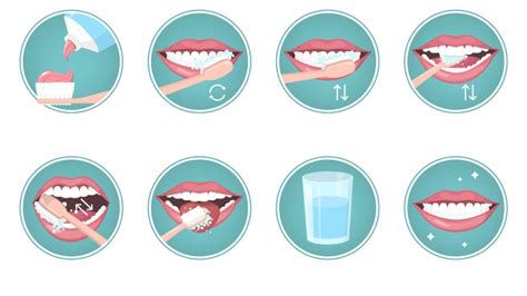 Como Escovar Os Dentes Saiba Como Fazer Corretamente