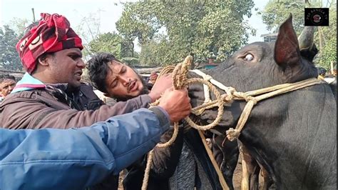 আজ শনিবার ২০ জানুয়ারী২৪ কত টাকা মন দরে ঢাকার ব্যবসায়ী মাংসের বড়